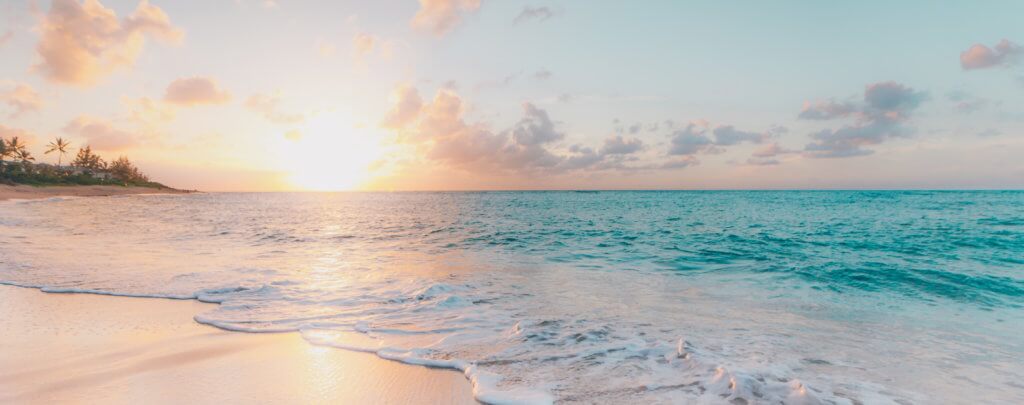 The Hills Dental Associates -